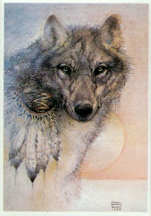 A painting of a wolf with feathers on it's back.