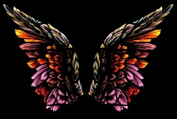 A pair of colorful wings on black background.